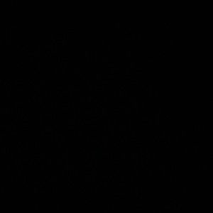 Meet your Posher, Liz